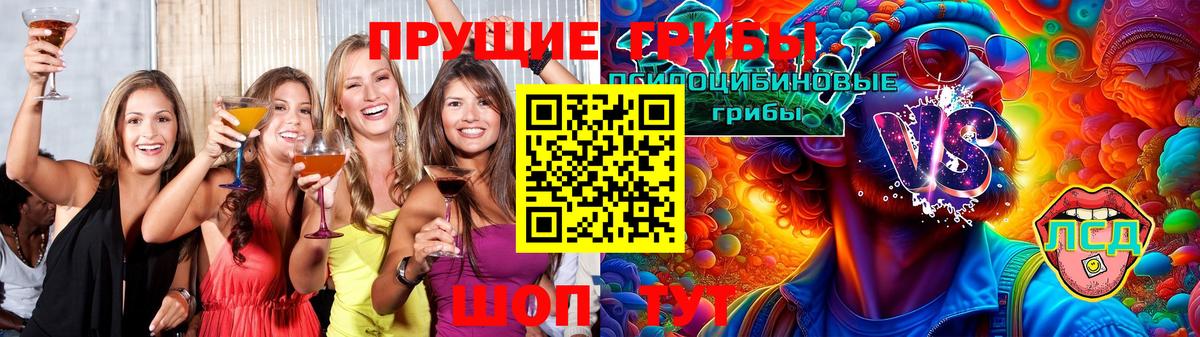 купить наркотик  Вход с VPN  Кушва  Галлюциногенные грибы мицелий 